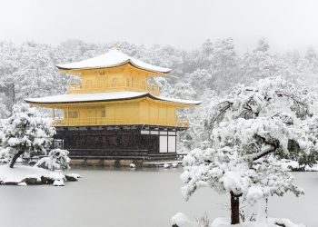 Tokyo’s Kinkaku-ji Temple: a glittering golden legend