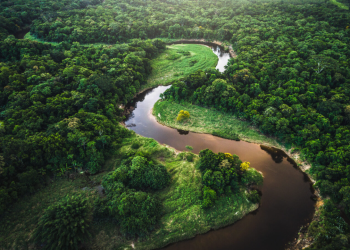 The Amazon jungle: the green heart of the Earth and the source of life