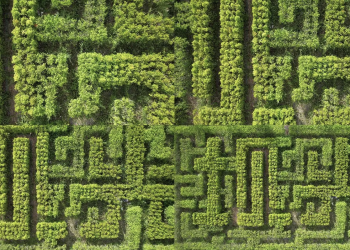 The Labyrinthine Heart of Bautzen: Home to the Sorbs and Germany’s Largest Maze