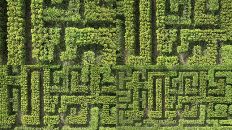The Labyrinthine Heart of Bautzen: Home to the Sorbs and Germany’s Largest Maze