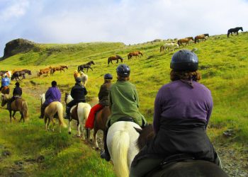 Beyond Livestock: Embracing Agritourism and Heritage in Agriculture