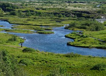 Equestrian Enchantment: Iceland’s Horseback Riding, Japan’s Agricultural Innovation, and the Idyllic Swiss Alpines