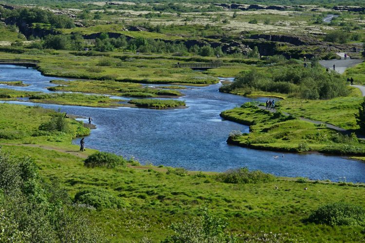 Equestrian Enchantment: Iceland’s Horseback Riding, Japan’s Agricultural Innovation, and the Idyllic Swiss Alpines