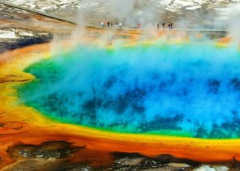 How Can You Plan the Ultimate Trip to Yellowstone National Park?