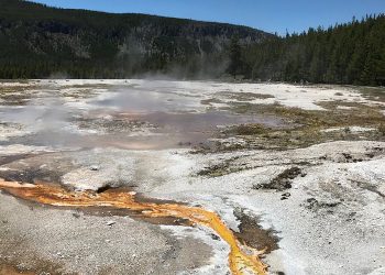 What Makes Yellowstone National Park a Must-Visit Destination for Nature Lovers?