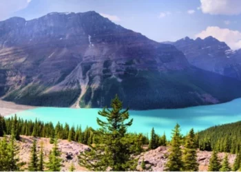 What Makes the Natural Scenery of the Rocky Mountains So Unique?