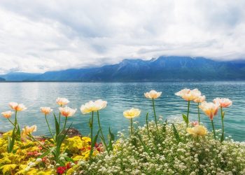 Why Should You Visit Lake Geneva? A Complete Travel Guide to the Heart of Switzerland