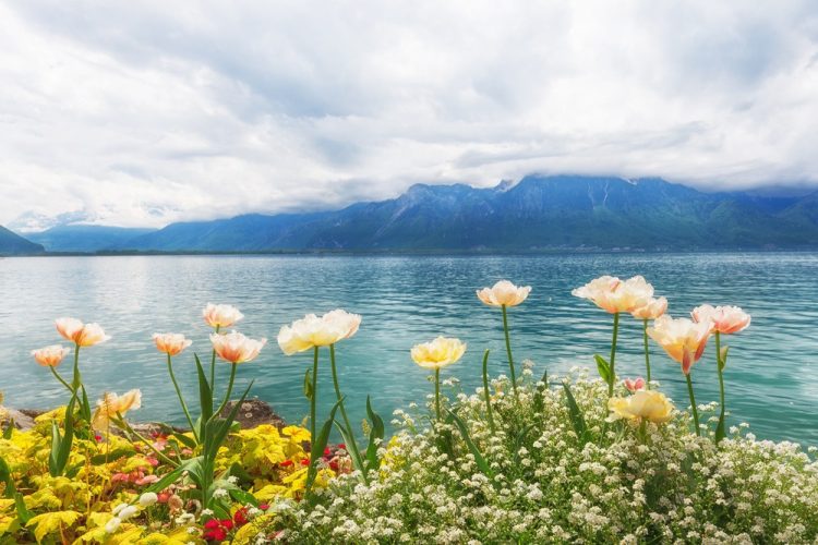 Why Should You Visit Lake Geneva? A Complete Travel Guide to the Heart of Switzerland