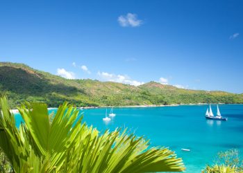 What Makes Seychelles a Unique Travel Destination?