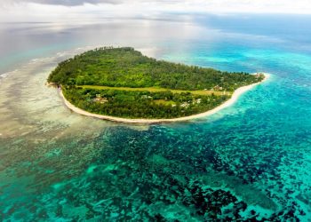 Why Is Seychelles the Ultimate Escape? A Journey Through Nature and Serenity