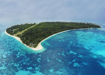 What Makes the Cultural Customs of Seychelles So Unique and Vibrant?