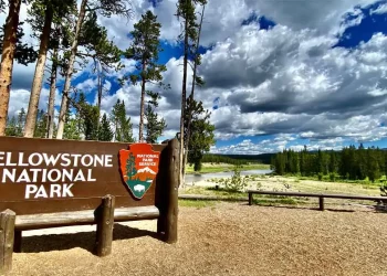 What Cultural Practices Define Yellowstone National Park’s Unique Identity?