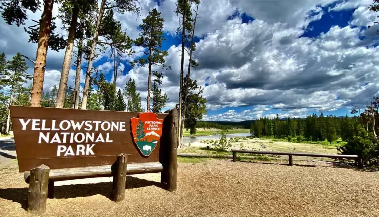 What Cultural Practices Define Yellowstone National Park’s Unique Identity?