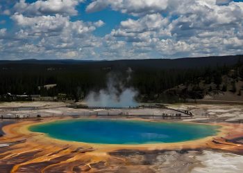 What Makes a Trip to Yellowstone National Park an Unforgettable Experience?