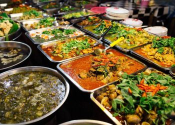 Gourmet Dining: A Feast of Street Food in Southeast Asia