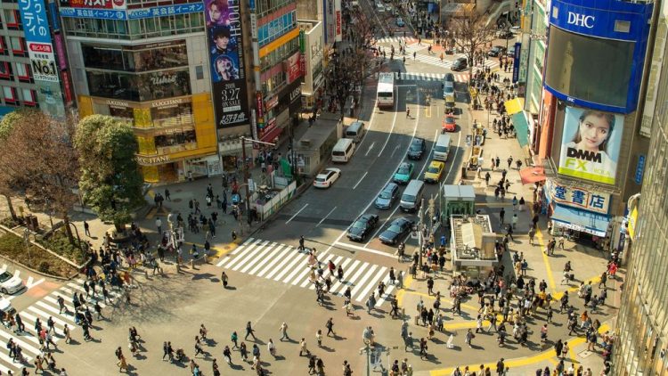 Explore the New Urban Culture of Tokyo’s Neighborhoods