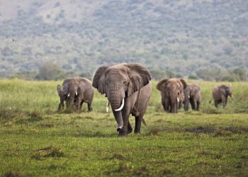 Scenic Spots: The Best National Parks to Visit in North America