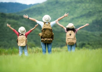 Information News: Sustainability in Travel – What’s Next?