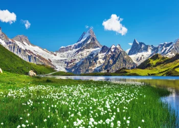 The Beauty of the Swiss Alps