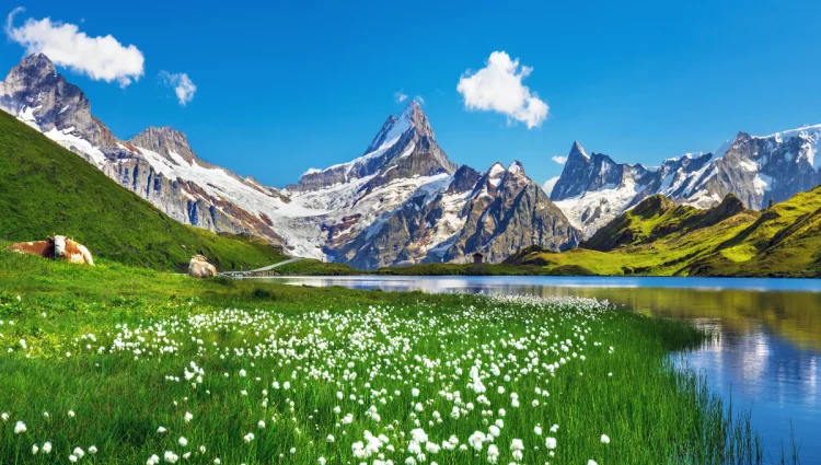 The Beauty of the Swiss Alps