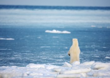 What Alarming Trends Does the New Global Climate Change Report Reveal?