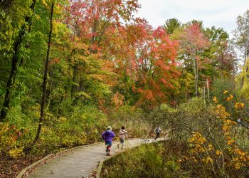 What Are the Best Travel Hacks for Exploring Hidden Gems Around the World? How to Find Local Treasures and Escape the Crowds