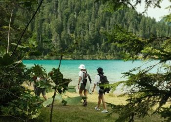 Why Are Sustainable Travel Practices More Important Than Ever? How to Make Eco-Friendly Choices in Your Travel Planning