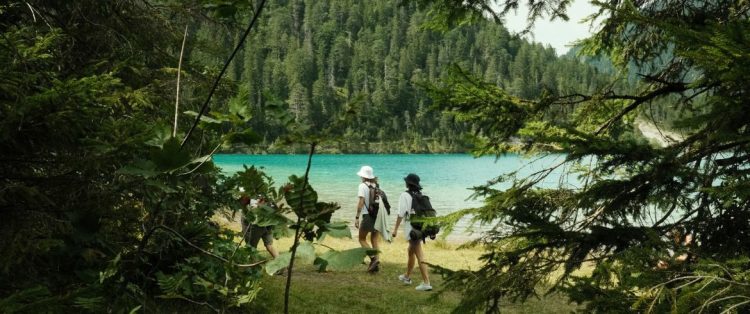 Why Are Sustainable Travel Practices More Important Than Ever? How to Make Eco-Friendly Choices in Your Travel Planning