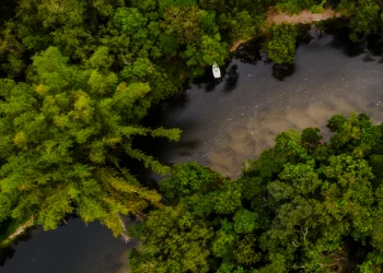 Why Is the Amazon Rainforest Central to Indigenous Cultures? Discover the Spiritual and Natural Importance of the Amazon