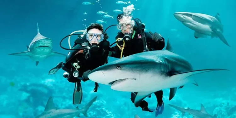 Why Do People Say the Unexpected Moments in Travel Are More Memorable Than the Plan?