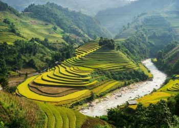 How to Maximize Your Local Cultural Experience While Avoiding Tourist Traps During Your Travels