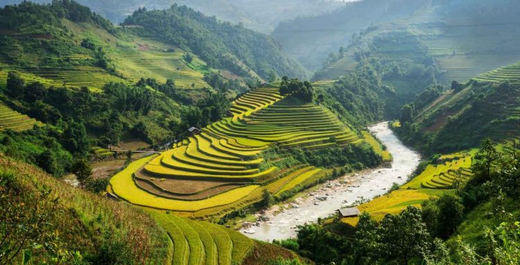 How to Maximize Your Local Cultural Experience While Avoiding Tourist Traps During Your Travels