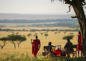 What’s the Best Way to Experience Kenya and Tanzania’s Wild Side?