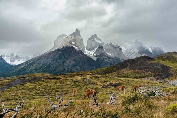Why Should Patagonia Be Your Next Adventure Destination?