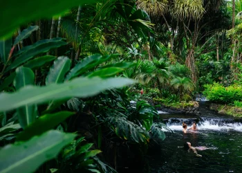 Is Costa Rica the Eco-Paradise You’ve Been Searching For?