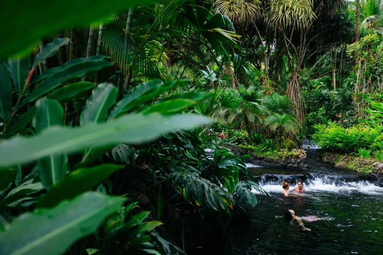 Is Costa Rica the Eco-Paradise You’ve Been Searching For?
