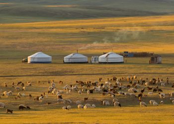 Can You Live Like a Nomad in Mongolia’s Gobi Without Giving Up Comfort?