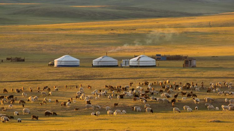 Can You Live Like a Nomad in Mongolia’s Gobi Without Giving Up Comfort?