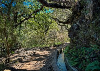 What Are the Best Hikes in Madeira That Aren’t Already on Instagram?
