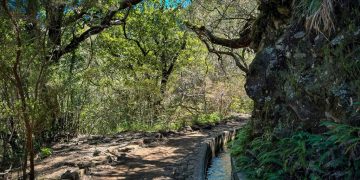 What Are the Best Hikes in Madeira That Aren’t Already on Instagram?