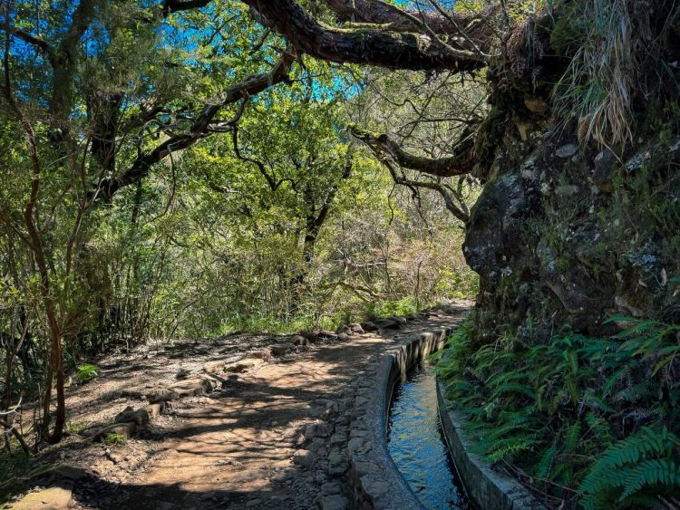 What Are the Best Hikes in Madeira That Aren’t Already on Instagram?