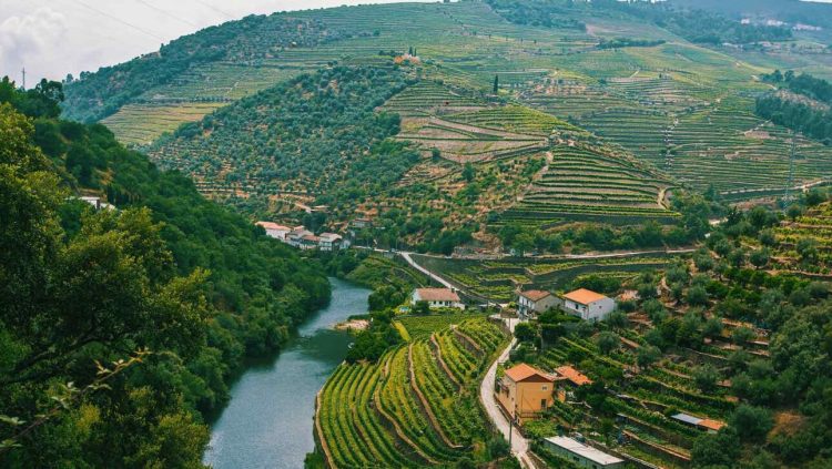 What Makes Portugal’s Alentejo the Next Big Wine Destination in 2025?