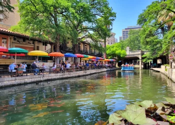 Dining Amidst Nature: What Are the Most Scenic Restaurant Locations in 2024?