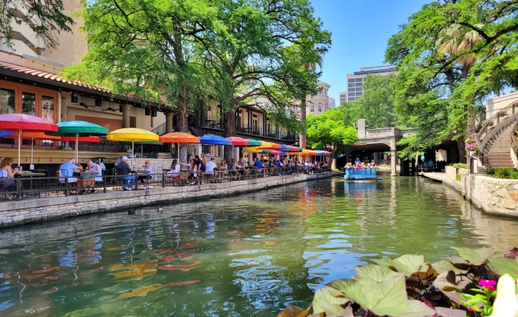 Dining Amidst Nature: What Are the Most Scenic Restaurant Locations in 2024?