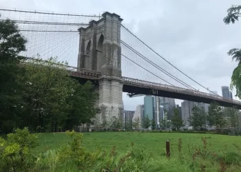 Is Brooklyn the Next Big Urban Hotspot? Exploring the Best of Brooklyn in 2025