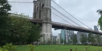 Is Brooklyn the Next Big Urban Hotspot? Exploring the Best of Brooklyn in 2025