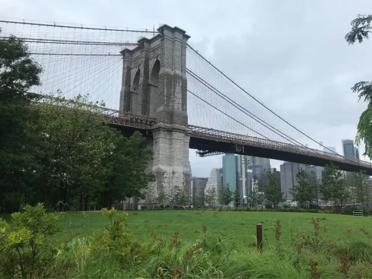 Is Brooklyn the Next Big Urban Hotspot? Exploring the Best of Brooklyn in 2025