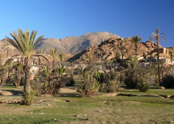Tafraoute Oasis: Will It Become the New “Wilderness Stargazing Destination”?