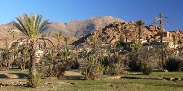 Tafraoute Oasis: Will It Become the New “Wilderness Stargazing Destination”?