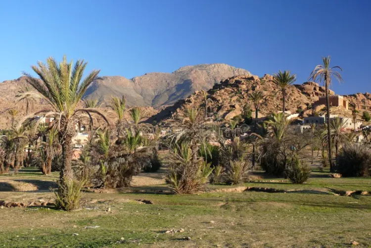 Tafraoute Oasis: Will It Become the New “Wilderness Stargazing Destination”?